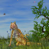Neko tiger girl in the grass charmed by a hummingbird