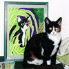 A calico cat sits in front of a framed pastel image of herself which I did