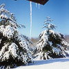 Blue sky, snow-covered ground and tress, a long icicle gleaming in the sun