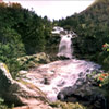 Waterfall surrounded by small flowers